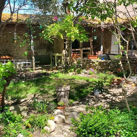 La Concha 1 Homestay *