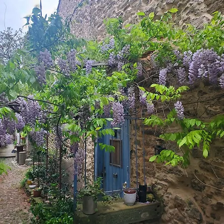 La Concha 1